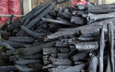 2024年木炭生意浮沉錄 從虧本到盈利的逆襲之路